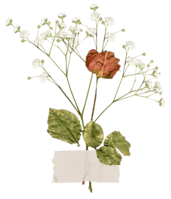 herbary-flower